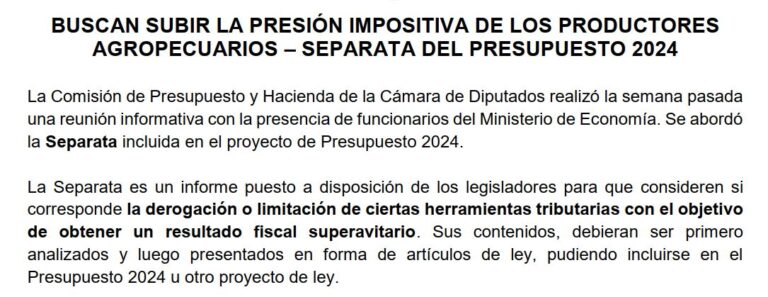 Analisis Separata Presupuesto 2024 con ejemplos VF