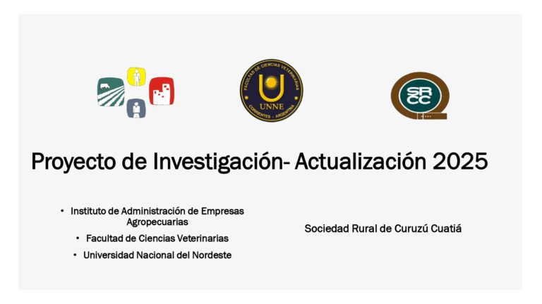 Proyecto de Investigación- Actualización 2025