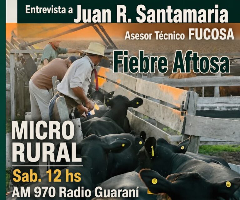Entrevista a Juan R. Santamaria – Asesor Técnico FUCOSA