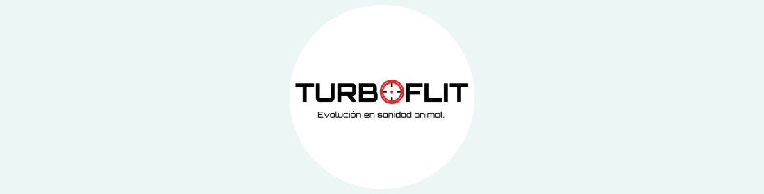logo-turbo-flit